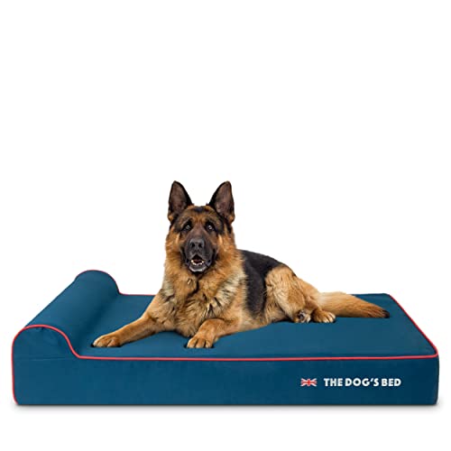 The Dog’s Bed - Cama ortopédica para perro, cama de espuma viscoelástica impermeable prémium