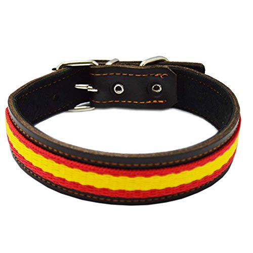 Tiendas LGP - Collar para Perros de Piel Flor con Bandera de España. 2,5 x 57 cm, Marrón