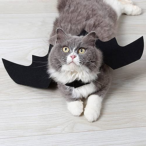 TOSISZ Lindo Disfraz de Gato de Halloween Pequeño Gato para Mascotas Alas de murciélago Alas de Gato de Halloween Accesorios para Gatos de Halloween 2018 Decoraciones de Halloween-Zafiro Profundo