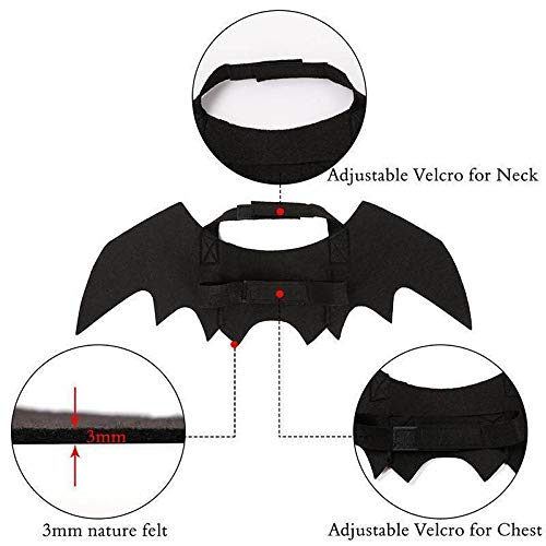 TOSISZ Lindo Disfraz de Gato de Halloween Pequeño Gato para Mascotas Alas de murciélago Alas de Gato de Halloween Accesorios para Gatos de Halloween 2018 Decoraciones de Halloween-Zafiro Profundo