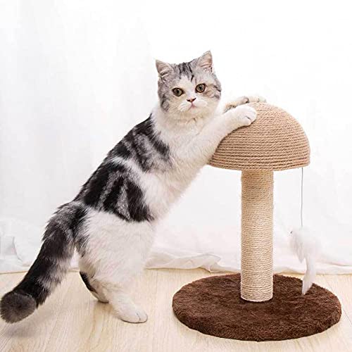 TOSSPER por Arañazo De Gato 1pc, Cuerda Hongos Kitty Cat Claw Rascador Sisal Cubierto Niza Papel para Dibujar Pad para Gatos Regalo