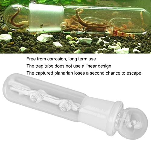 Tubo de Trampa de Sanguijuela Planaria, Trampa de Planaria Anticorrosión Fácil de Limpiar con Múltiples Orificios para Camarones Cereza para Camarones Rojos Cristalinos para(Receptor de 2 Hoyos)