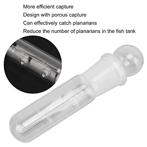 Tubo de Trampa de Sanguijuela Planaria, Trampa de Planaria Anticorrosión Fácil de Limpiar con Múltiples Orificios para Camarones Cereza para Camarones Rojos Cristalinos para(Receptor de 2 Hoyos)