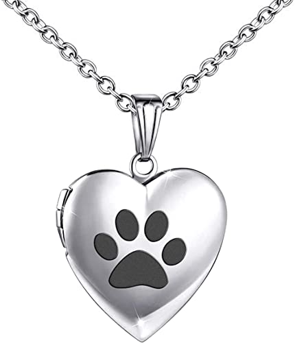 Urna Cenizas Funeral Collar Con Colgante De Caja Pequeña De Pata De Perro, Puede Colgar Imágenes, Fotos De Amor, Colgante De Caja Pequeña, Colgante De Collar De Cristal, Regalo De Cumpleaños-Dog_