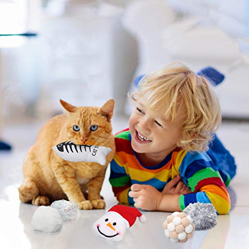 Vanplay Juguetes Gatos Interactivos 6 Piezas con Pescado & Pelotas, Gatos
