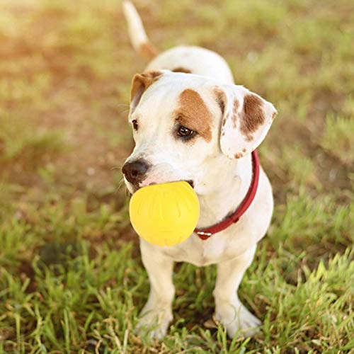 【Venta del día de la Madre】 Mascotas Pelota para Perros, Pelota para Perros, Juguete para Perros Perro portátil Pelota de Goma EVA Pelota de Goma para Perros Pelota de Entrenamiento para Perros Ju