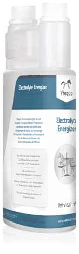 VetVital Viequo Electrolyte Energizer – 1 litro