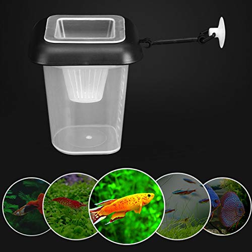 WAQU Alimentador de Gusanos-Tanque de Peces, alimentador de Embudo de plástico, Taza de alimentación de Insectos Rojos, nematodo de Gusano de Sangre con Ventosa para Acuario