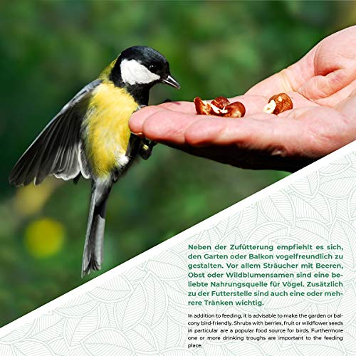 Wildlife Friend I Comedero Colgante para Gusanos de la harina, 18 cm de diámetro, comedero para pájaros, estación de alimentación de Metal para Aves Silvestres Durante Todo el año