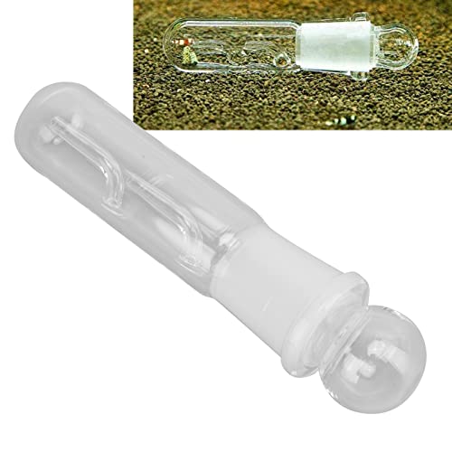 WNUV Trampa de Planaria, Tubo de Trampa de Sanguijuela Planaria de Vidrio Transparente para Camarones Rojos de para Camarones Enanos para Camarones Cereza(Receptor de 2 Hoyos)