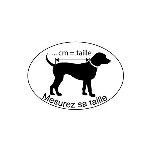 Wouapy - Abrigo Happy Azul de Wouapy en Talla L para Proteger a su Perro de Las Intemperies
