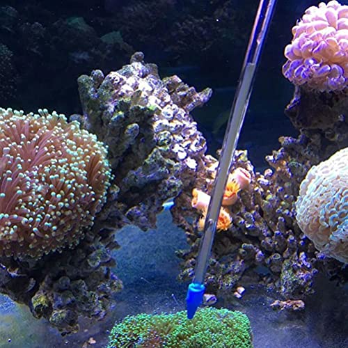 WSTERAO Juego de alimentador de Coral Pinzas para alimentación de Reptiles Pinzas Rectas y Curvas de Acero Inoxidable Red de camarones con Mango Extensible para acuarios de Peces