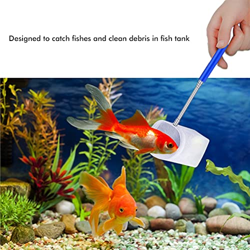 WSTERAO Juego de alimentador de Coral Pinzas para alimentación de Reptiles Pinzas Rectas y Curvas de Acero Inoxidable Red de camarones con Mango Extensible para acuarios de Peces