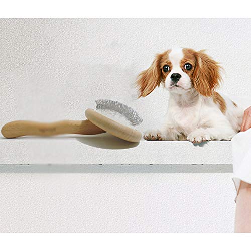 WYJJP Peine de aguja para mascotas, peine de madera de mascotas, cerdas, nudo abierto, pelo, peine especial para suministros para mascotas