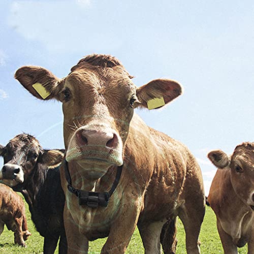 WZCXYX Bolso De Localización De Cuello De Ganado Y Ovejas Animal Posicionamiento Electrónico Bolsa De Rastreo De Caballos Localizador De GPS Bolsa De Almacenamiento De Cuello Anti-perdido