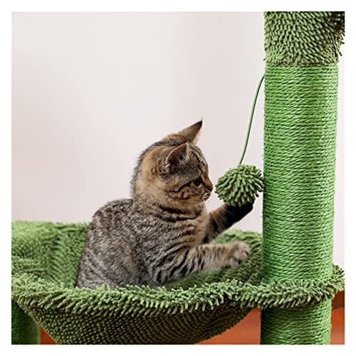 xczbb árbol de Gato CATO Cactus Cat RAPINGING Poste con EL Correa DE SSISAL Cat SAILDER Total DE ÁRBOL DE LA TOURAS con COMFIOSO ESPUCIONAL HAMMO Cats Cats Juguetes de Peluche (Color : AMT0113GN)