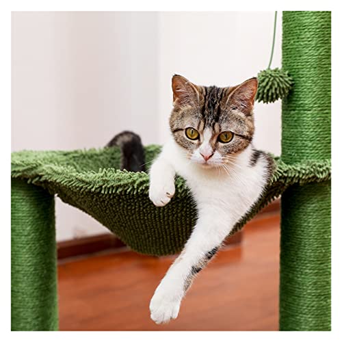 xczbb árbol de Gato CATO Cactus Cat RAPINGING Poste con EL Correa DE SSISAL Cat SAILDER Total DE ÁRBOL DE LA TOURAS con COMFIOSO ESPUCIONAL HAMMO Cats Cats Juguetes de Peluche (Color : AMT0113GN)