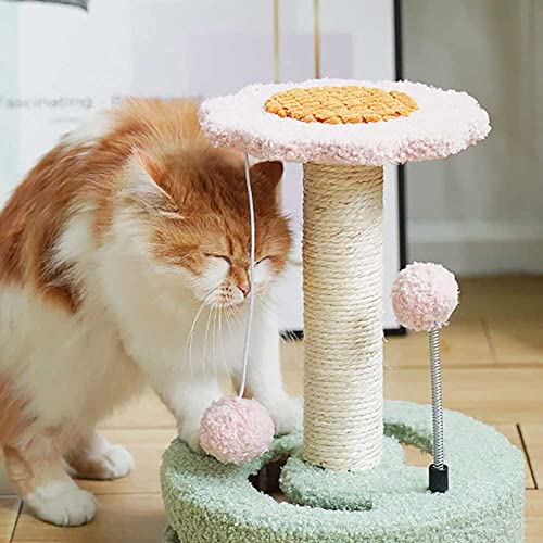 XIAOSHIDAI Marco de escalada de gatos, gato de gato de gato de gato de gato pequeño plato de salto de gato, apartamento de plataforma de varios pisos for gatos y gatitos pequeños y medianos, XIAOSHIDA