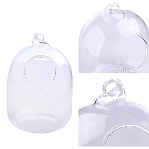 Xuebai suspendido Transparente Colgante de Vidrio pecera Botella de infusión Acuario Flor Pl florero Transparente