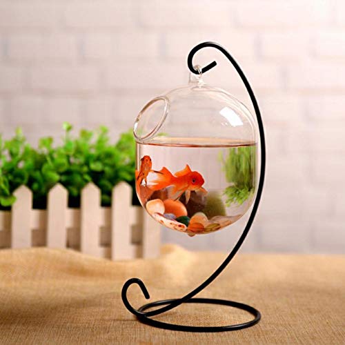 Xuebai suspendido Transparente Colgante de Vidrio pecera Botella de infusión Acuario Flor Pl florero Transparente