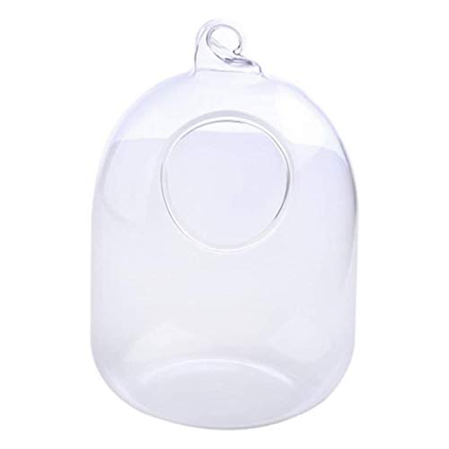 Xuebai suspendido Transparente Colgante de Vidrio pecera Botella de infusión Acuario Flor Pl florero Transparente