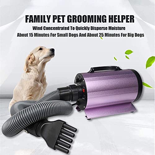 yanzz Secador de Pelo para Perros, máquina de soplado de Pelo para Mascotas, máquina de soplado de Agua, 1500 W de Potencia, Velocidad silenciosa antiescaldamiento Continuo, Adecuada para Perros y