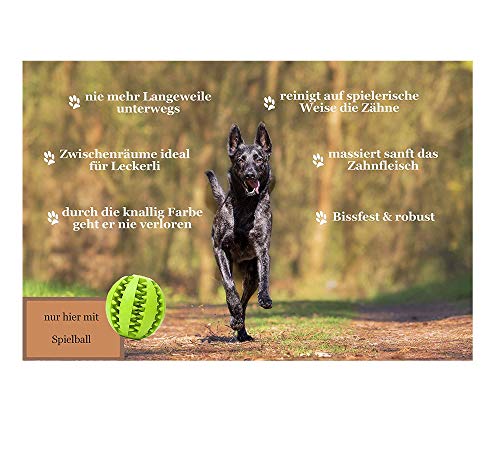 YellowMedia Perros de guía y examen de experiencia, bolsa de gimnasio para perros y pelota de juego para el cuidado dental y educación de cachorros.